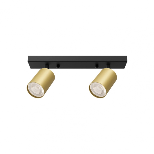 BRAYTRON zlatna spot lampa 2xGU10 BH04-00826
